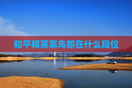 和平精英菜鸟都在什么段位