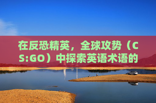 在反恐精英,全球攻势(CS:GO)中探索英语术语的奥秘 在反恐精英,全球攻势(CS:GO)中探索英语术语的奥秘