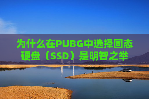 为什么在PUBG中选择固态硬盘(SSD)是明智之举 为什么在PUBG中选择固态硬盘(SSD)是明智之举
