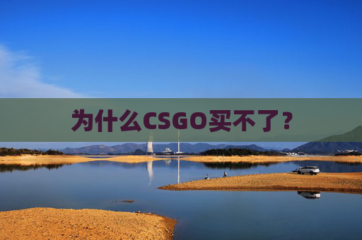 为什么CSGO买不了？