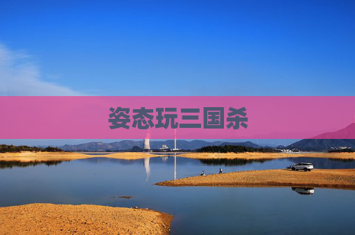 姿态玩三国杀