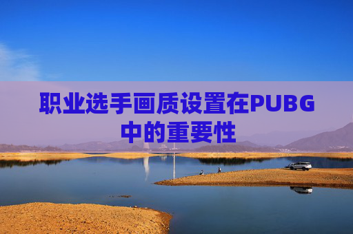 职业选手画质设置在PUBG中的重要性 职业选手画质设置在PUBG中的重要性