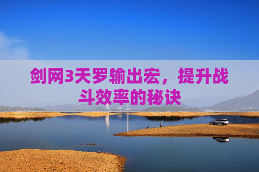 剑网3天罗输出宏，提升战斗效率的秘诀