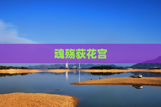 魂殇荻花宫 魂殇荻花宫