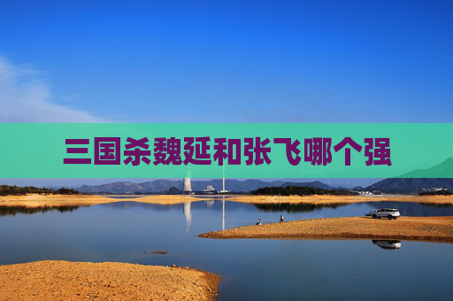 三国杀魏延和张飞哪个强
