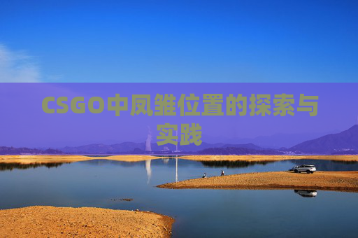 CSGO中凤雏位置的探索与实践