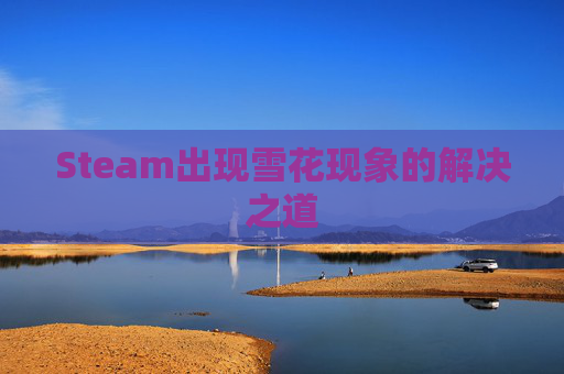 Steam出现雪花现象的解决之道