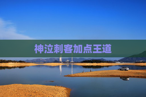 神泣刺客加点王道 神泣刺客加点王道