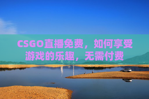 CSGO直播免费，如何享受游戏的乐趣，无需付费