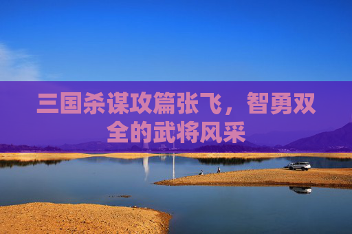 三国杀谋攻篇张飞，智勇双全的武将风采