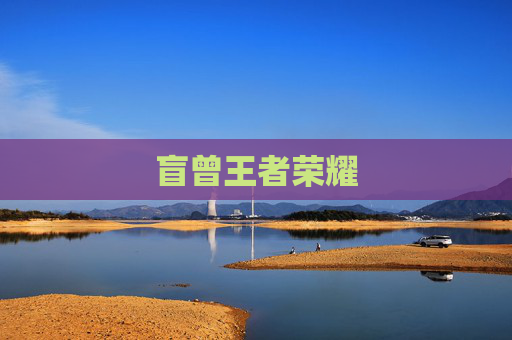 盲曾王者荣耀