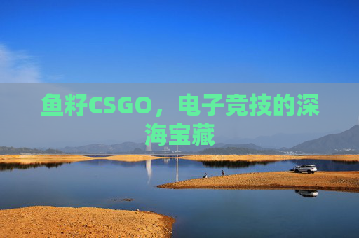 鱼籽CSGO,电子竞技的深海宝藏 鱼籽CSGO,电子竞技的深海宝藏