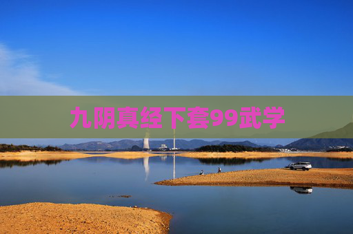 九阴真经下套99武学 九阴真经下套99武学