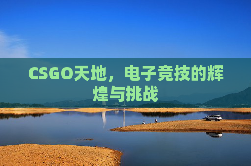 CSGO天地，电子竞技的辉煌与挑战