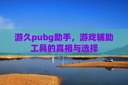 游久pubg助手，游戏辅助工具的真相与选择