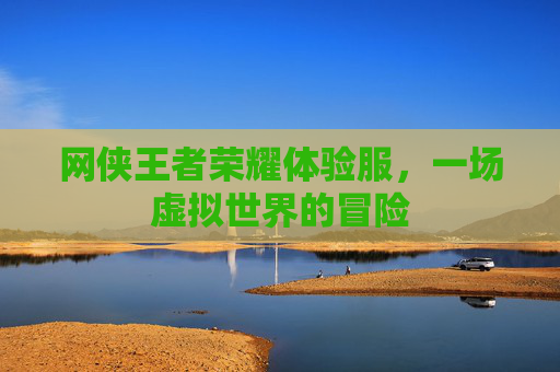 网侠王者荣耀体验服，一场虚拟世界的冒险