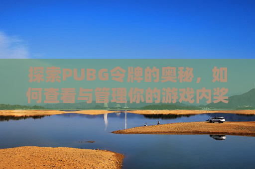探索PUBG令牌的奥秘,如何查看与管理你的游戏内奖励 探索PUBG令牌的奥秘,如何查看与管理你的游戏内奖励