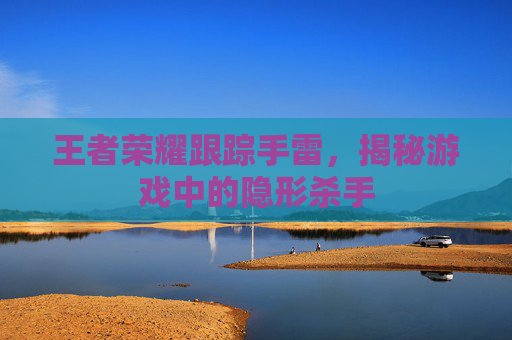 王者荣耀跟踪手雷，揭秘游戏中的隐形杀手