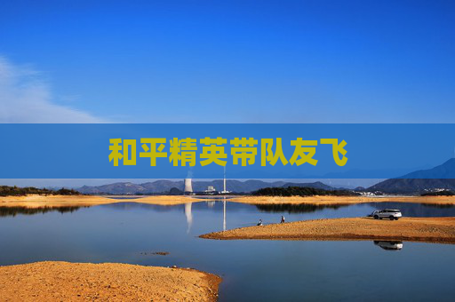 和平精英带队友飞