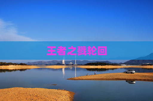 王者之戮轮回