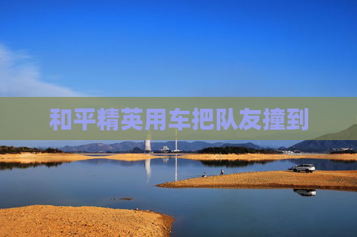 和平精英用车把队友撞到