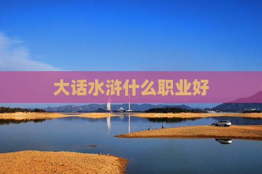 大话水浒什么职业好