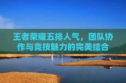 王者荣耀五排人气，团队协作与竞技魅力的完美结合