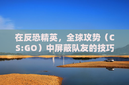 在反恐精英，全球攻势（CS:GO）中屏蔽队友的技巧与策略