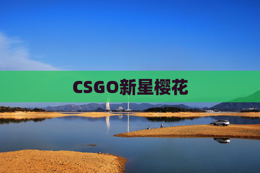 CSGO新星樱花 CSGO新星樱花