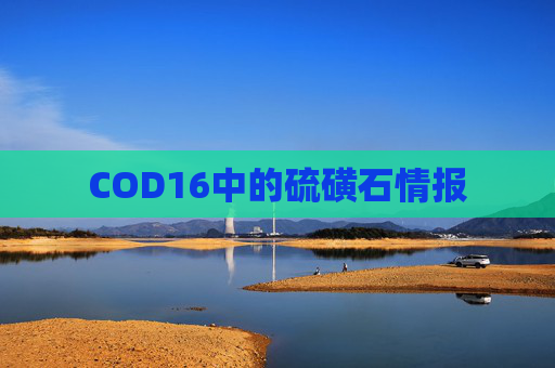 COD16中的硫磺石情报 COD16中的硫磺石情报
