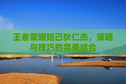 王者荣耀妲己狄仁杰,策略与技巧的完美结合 王者荣耀妲己狄仁杰,策略与技巧的完美结合