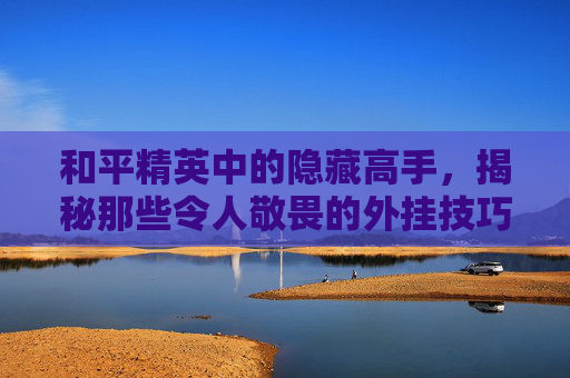 和平精英中的隐藏高手,揭秘那些令人敬畏的外挂技巧 和平精英中的隐藏高手,揭秘那些令人敬畏的外挂技巧