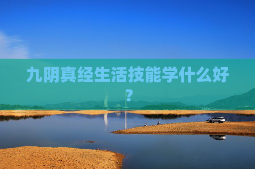 九阴真经生活技能学什么好? 九阴真经生活技能学什么好?