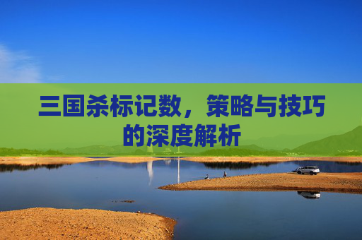 三国杀标记数,策略与技巧的深度解析 三国杀标记数,策略与技巧的深度解析