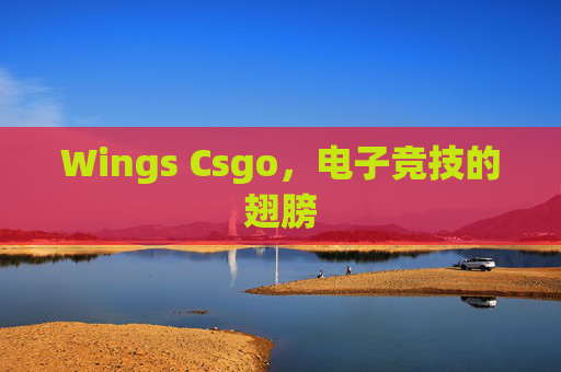 Wings Csgo，电子竞技的翅膀