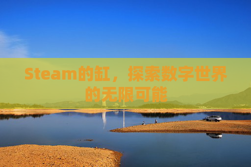 Steam的缸，探索数字世界的无限可能
