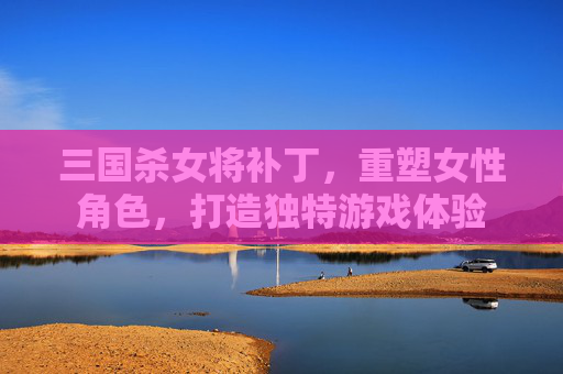 三国杀女将补丁，重塑女性角色，打造独特游戏体验