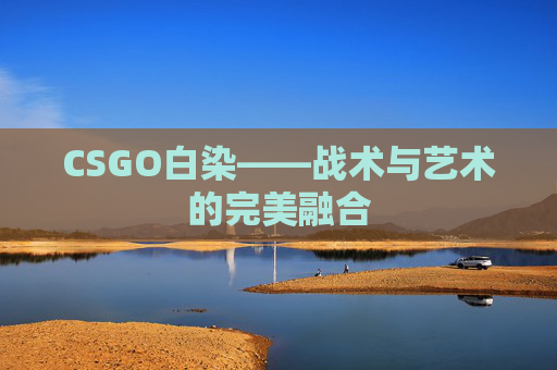 CSGO白染——战术与艺术的完美融合