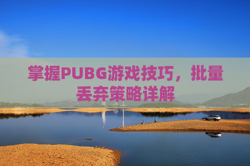 掌握PUBG游戏技巧,批量丢弃策略详解 掌握PUBG游戏技巧,批量丢弃策略详解