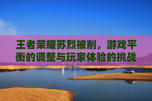 王者荣耀苏烈被削,游戏平衡的调整与玩家体验的挑战 王者荣耀苏烈被削,游戏平衡的调整与玩家体验的挑战