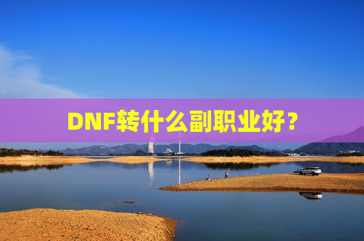 DNF转什么副职业好？