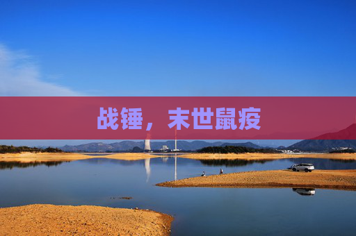 战锤,末世鼠疫 战锤,末世鼠疫