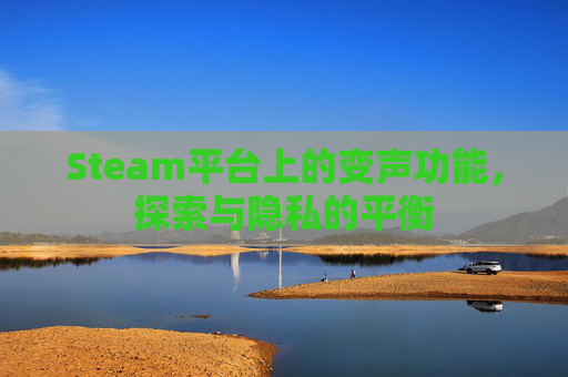 Steam平台上的变声功能,探索与隐私的平衡 Steam平台上的变声功能,探索与隐私的平衡