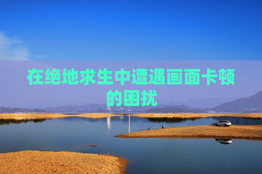 在绝地求生中遭遇画面卡顿的困扰