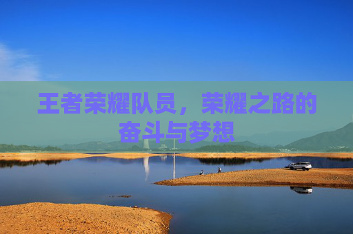 王者荣耀队员，荣耀之路的奋斗与梦想