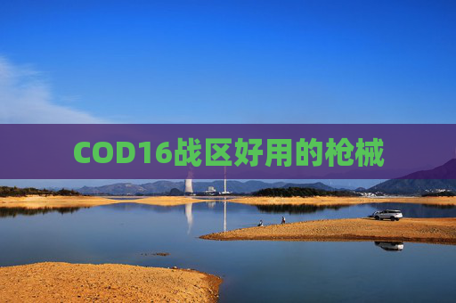 COD16战区好用的枪械