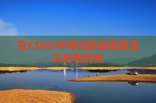 在CSGO中寻找那些既便宜又好看的枪 在CSGO中寻找那些既便宜又好看的枪