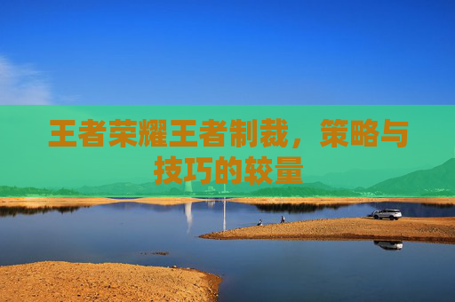 王者荣耀王者制裁,策略与技巧的较量 王者荣耀王者制裁,策略与技巧的较量