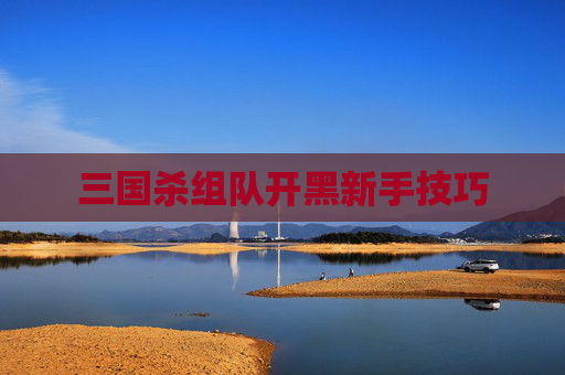 三国杀组队开黑新手技巧