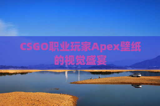 CSGO职业玩家Apex壁纸的视觉盛宴 CSGO职业玩家Apex壁纸的视觉盛宴
